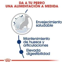 Royal Canin Maxi Ageing 8+ 15 KG -PetSafe Huisdieren Verkoopwinkel 1200x1197 6