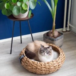 District 70 COCOON - Luxe Hondenmand Van Duurzaam Hoogwaardig Riet Met Zacht Kussen - Maten S/M/L - Large -PetSafe Huisdieren Verkoopwinkel 1200x1200 105