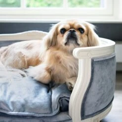 Lord Lou - George Roze Velvet S - Luxe Hondenmand - Luxe Kattenmand - 49x40x31 13 Lord Lou - George Roze Velvet S - Luxe Hondenmand - Luxe Kattenmand - 49x40x31 -PetSafe Huisdieren Verkoopwinkel 1200x1200 107