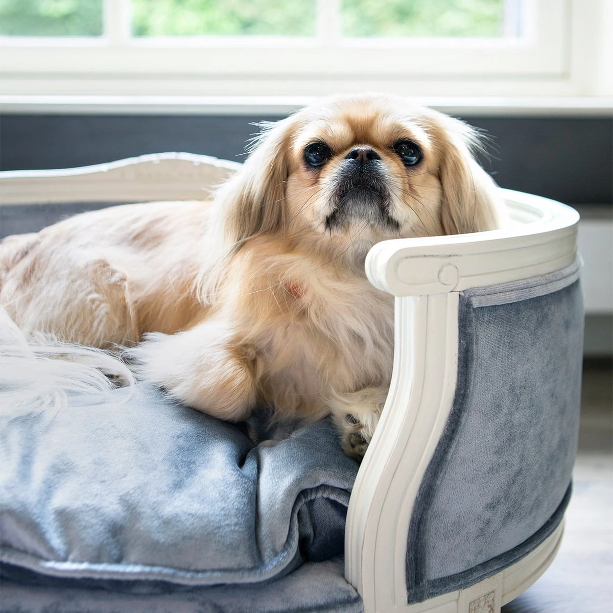 Lord Lou - George Roze Velvet S - Luxe Hondenmand - Luxe Kattenmand - 49x40x31 6 Lord Lou - George Roze Velvet S - Luxe Hondenmand - Luxe Kattenmand - 49x40x31 - Afbeelding 6