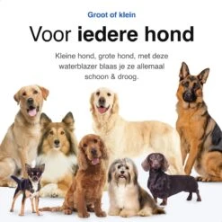 Vivid Green Waterblazer Met 3 Opzetstukken - Hondenfohn - Voor Honden - Met Geluiddemper - 2800W -PetSafe Huisdieren Verkoopwinkel 1200x1200 132