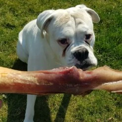 Topdiervoeding Runderkophuid Hondensnacks - Vers Gedroogd - 30cm - 1000 Gram -PetSafe Huisdieren Verkoopwinkel 1200x1200 140