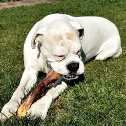 Topdiervoeding Runderkophuid Hondensnacks - Vers Gedroogd - 30cm - 1000 Gram -PetSafe Huisdieren Verkoopwinkel 1200x1200 142