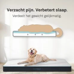 CozySense® - Orthopedisch Hondenkussen - Hondenkussen 75 X 45 Cm - Ook Geschikt Als Benchkussen & Hondenbed - Hondenkussen Bank - Traagschuim - Waterdicht - Wasbare Hoes - Maat M 10 CozySense® - Orthopedisch Hondenkussen - Hondenkussen 75 X 45 Cm - Ook Geschikt Als Benchkussen & Hondenbed - Hondenkussen Bank - Traagschuim - Waterdicht - Wasbare Hoes - Maat M -PetSafe Huisdieren Verkoopwinkel 1200x1200 149