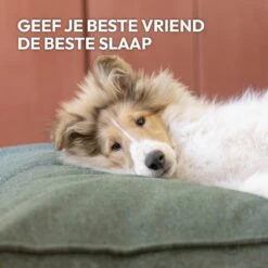 Snoozle Orthopedische Hondenmand - Zacht En Luxe Hondenkussen - Hondenbed - Wasbaar - Hondenmanden - 100 X 70 Cm - Stormy Grey 19 Snoozle Orthopedische Hondenmand - Zacht En Luxe Hondenkussen - Hondenbed - Wasbaar - Hondenmanden - 100 X 70 Cm - Stormy Grey -PetSafe Huisdieren Verkoopwinkel 1200x1200 161