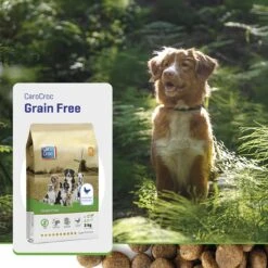 Carocroc Grain Free - Gevogelte/Aardappel/Bieten - Hondenvoer - 15 Kg 16 Carocroc Grain Free - Gevogelte/Aardappel/Bieten - Hondenvoer - 15 Kg -PetSafe Huisdieren Verkoopwinkel 1200x1200 163