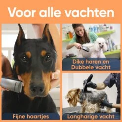 Happysnoots Hondentondeuse Draadloos Voor Dikke Vacht - Tondeuse Hond & Kat - Hondentrimmer - Professioneel Dieren Tondeuse -PetSafe Huisdieren Verkoopwinkel 1200x1200 174