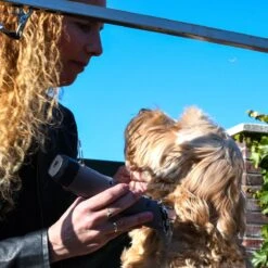 Clipr Ultimate 2-speed Hondentondeuse Op Accu -PetSafe Huisdieren Verkoopwinkel 1200x1200 178