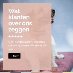 Rexproduct Hondenkussen - Hondenmand - Hondenbed Met Rits En Wasbaar - Manden & Kussens 90 X 110 CM - 0 Tot 80 Kg - SoftPet Groen -PetSafe Huisdieren Verkoopwinkel 1200x1200 193
