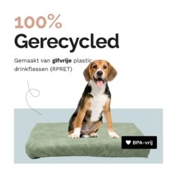 Rexproduct Hondenkussen - Hondenmand - Hondenbed Met Rits En Wasbaar - Manden & Kussens 90 X 110 CM - 0 Tot 80 Kg - SoftPet Groen -PetSafe Huisdieren Verkoopwinkel 1200x1200 194
