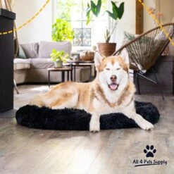 All 4 Pets Supply® Hondenmand Donut - Maat XL - Geschikt Voor Honden Tot 100 Cm - Hondenkussen - Zwart -PetSafe Huisdieren Verkoopwinkel 1200x1200 212