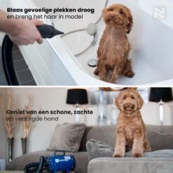 Nuvoo Professionele Hondenföhn / Waterblazer / Hondenborstel Met 3 Opzetstukken - Verstelbare Vermogen Tot 2200W - Warme / Koude Stand - Rood -PetSafe Huisdieren Verkoopwinkel 1200x1200 22