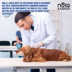 Nola & Coco® Tandsteen Verwijderaar Set Inclusief Bewaardoosje - Tandenkrabber - Set Van Twee - Hond - Kat - Tandenborstel - Tandplak Verwijderen - Tandenstoker - Honden Tanden Schoonmaken - Tandenhaakje - Gebitsreiniging 9 Nola & Coco® Tandsteen Verwijderaar Set Inclusief Bewaardoosje - Tandenkrabber - Set Van Twee - Hond - Kat - Tandenborstel - Tandplak Verwijderen - Tandenstoker - Honden Tanden Schoonmaken - Tandenhaakje - Gebitsreiniging -PetSafe Huisdieren Verkoopwinkel 1200x1200 223
