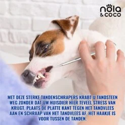 Nola & Coco® Tandsteen Verwijderaar Set Inclusief Bewaardoosje - Tandenkrabber - Set Van Twee - Hond - Kat - Tandenborstel - Tandplak Verwijderen - Tandenstoker - Honden Tanden Schoonmaken - Tandenhaakje - Gebitsreiniging 12 Nola & Coco® Tandsteen Verwijderaar Set Inclusief Bewaardoosje - Tandenkrabber - Set Van Twee - Hond - Kat - Tandenborstel - Tandplak Verwijderen - Tandenstoker - Honden Tanden Schoonmaken - Tandenhaakje - Gebitsreiniging -PetSafe Huisdieren Verkoopwinkel 1200x1200 226