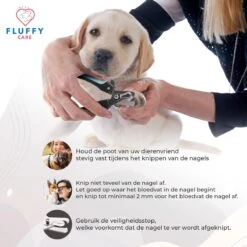 FluffyCare - Professionele Nagelschaar- Nagelschaar Hond - Nagelschaar Kat - Nagelknipper Hond En Kat - Nagelknipper Kat - Nagelknipper Hond - NagelTang Dieren - Poot Verzorging -PetSafe Huisdieren Verkoopwinkel 1200x1200 231