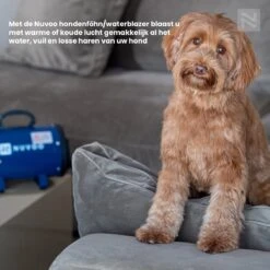 Nuvoo Professionele Hondenföhn / Waterblazer / Hondenborstel Met 3 Opzetstukken - Verstelbare Vermogen Tot 2200W - Warme / Koude Stand - Rood -PetSafe Huisdieren Verkoopwinkel 1200x1200 24
