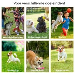 AYOO Agility Voor De Hond - Honden Training - Honden Behendigheid Set - Hondenparcours - Training Huisdieren - Honden Agility Set - Slalom - Horde - Draagzak - Agility Set - Oranje - Wit - GRATIS Speeltouw -PetSafe Huisdieren Verkoopwinkel 1200x1200 252