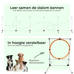 AYOO Agility Voor De Hond - Honden Training - Honden Behendigheid Set - Hondenparcours - Training Huisdieren - Honden Agility Set - Slalom - Horde - Draagzak - Agility Set - Oranje - Wit - GRATIS Speeltouw -PetSafe Huisdieren Verkoopwinkel 1200x1200 253