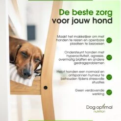 RUST EN KALMEREN CALMING Support 120 Stuks - Kalmeren - AntistressmiddelHond - Hond - Hondenkoekjes - Hondensupplementen - Honden - Puppy - Hondenvoeding -PetSafe Huisdieren Verkoopwinkel 1200x1200 267