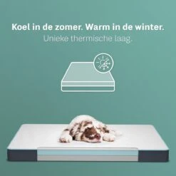 CozySense® - Orthopedisch Hondenkussen - Hondenkussen 100 X 70 Cm - Geschikt Als Benchkussen & Hondenbed - Hondenkussen Bank - Traagschuim - Waterdicht - Wasbare Hoes - Maat XL 11 CozySense® - Orthopedisch Hondenkussen - Hondenkussen 100 X 70 Cm - Geschikt Als Benchkussen & Hondenbed - Hondenkussen Bank - Traagschuim - Waterdicht - Wasbare Hoes - Maat XL -PetSafe Huisdieren Verkoopwinkel 1200x1200 274