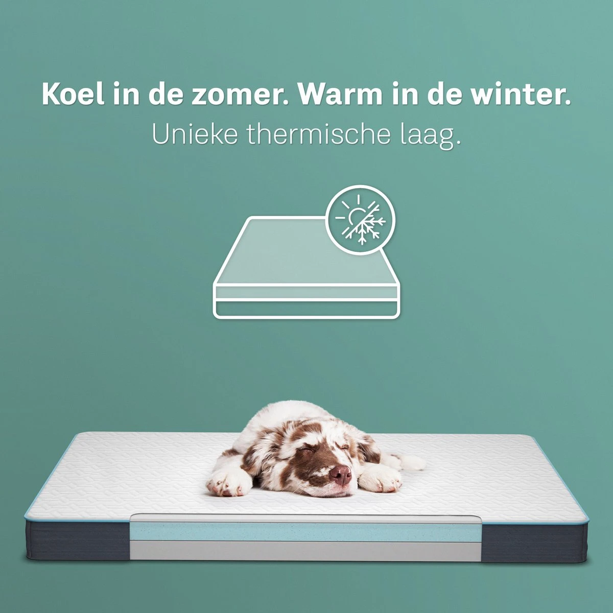 CozySense® - Orthopedisch Hondenkussen - Hondenkussen 100 X 70 Cm - Geschikt Als Benchkussen & Hondenbed - Hondenkussen Bank - Traagschuim - Waterdicht - Wasbare Hoes - Maat XL 4 CozySense® - Orthopedisch Hondenkussen - Hondenkussen 100 X 70 Cm - Geschikt Als Benchkussen & Hondenbed - Hondenkussen Bank - Traagschuim - Waterdicht - Wasbare Hoes - Maat XL - Afbeelding 4