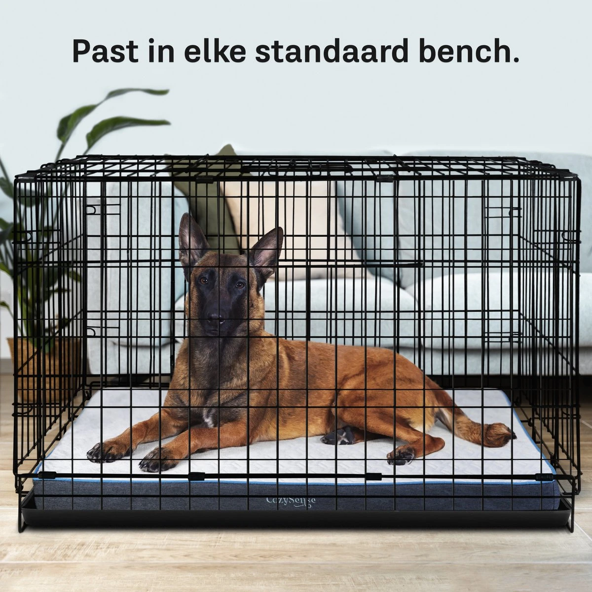 CozySense® - Orthopedisch Hondenkussen - Hondenkussen 100 X 70 Cm - Geschikt Als Benchkussen & Hondenbed - Hondenkussen Bank - Traagschuim - Waterdicht - Wasbare Hoes - Maat XL 5 CozySense® - Orthopedisch Hondenkussen - Hondenkussen 100 X 70 Cm - Geschikt Als Benchkussen & Hondenbed - Hondenkussen Bank - Traagschuim - Waterdicht - Wasbare Hoes - Maat XL - Afbeelding 5