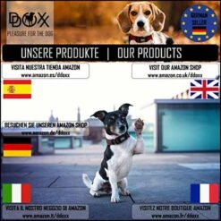 DDOXX Hondenharnas, Reflecterend, Verstelbaar, Breakaway | Borstharnas Voor Klein, Middelgroot | Hondenharnas Hond Kat Puppy Auto | Kattenharnas Puppy Harnas | Roze Roze, S -PetSafe Huisdieren Verkoopwinkel 1200x1200 283
