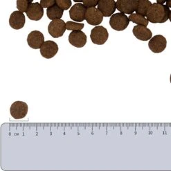 Vetality Hypoallergenic Hondenvoer - 10 Kg -PetSafe Huisdieren Verkoopwinkel 1200x1200 298