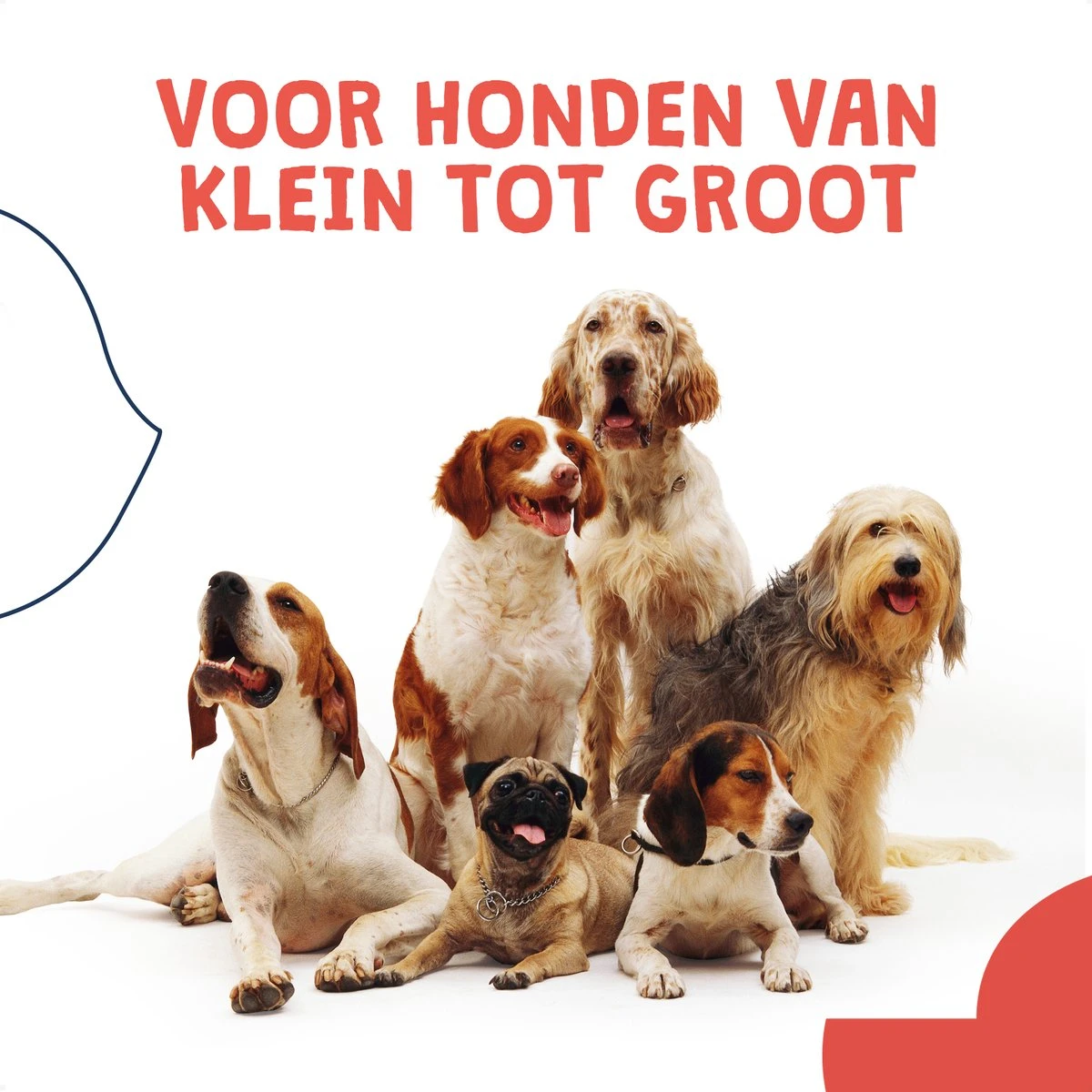 JC Pets Ultrasone Anti Blaf Apparaat Voor Kleine En Grote Honden - Oplaadbaar - Alternatief Anti Blafband Voor Honden - Diervriendelijk & Zonder Schok 8 JC Pets Ultrasone Anti Blaf Apparaat Voor Kleine En Grote Honden - Oplaadbaar - Alternatief Anti Blafband Voor Honden - Diervriendelijk & Zonder Schok - Afbeelding 8