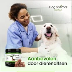 DOG OPTIMAL Gewricht Supplement 120 Stuks - Mobility - Glucosamine Hond - Artrose - Heupdysplasie - Gewrichten - Hondensnacks - Hondenkoekjes - Hondensupplementen - Honden - Puppy - Hondenvoeding 10 DOG OPTIMAL Gewricht Supplement 120 Stuks - Mobility - Glucosamine Hond - Artrose - Heupdysplasie - Gewrichten - Hondensnacks - Hondenkoekjes - Hondensupplementen - Honden - Puppy - Hondenvoeding -PetSafe Huisdieren Verkoopwinkel 1200x1200 324
