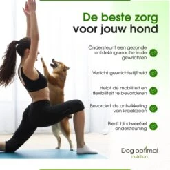 DOG OPTIMAL Gewricht Supplement 120 Stuks - Mobility - Glucosamine Hond - Artrose - Heupdysplasie - Gewrichten - Hondensnacks - Hondenkoekjes - Hondensupplementen - Honden - Puppy - Hondenvoeding 12 DOG OPTIMAL Gewricht Supplement 120 Stuks - Mobility - Glucosamine Hond - Artrose - Heupdysplasie - Gewrichten - Hondensnacks - Hondenkoekjes - Hondensupplementen - Honden - Puppy - Hondenvoeding -PetSafe Huisdieren Verkoopwinkel 1200x1200 326