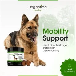 DOG OPTIMAL Gewricht Supplement 120 Stuks - Mobility - Glucosamine Hond - Artrose - Heupdysplasie - Gewrichten - Hondensnacks - Hondenkoekjes - Hondensupplementen - Honden - Puppy - Hondenvoeding 13 DOG OPTIMAL Gewricht Supplement 120 Stuks - Mobility - Glucosamine Hond - Artrose - Heupdysplasie - Gewrichten - Hondensnacks - Hondenkoekjes - Hondensupplementen - Honden - Puppy - Hondenvoeding -PetSafe Huisdieren Verkoopwinkel 1200x1200 327