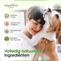 DOG OPTIMAL Gewricht Supplement 120 Stuks - Mobility - Glucosamine Hond - Artrose - Heupdysplasie - Gewrichten - Hondensnacks - Hondenkoekjes - Hondensupplementen - Honden - Puppy - Hondenvoeding 14 DOG OPTIMAL Gewricht Supplement 120 Stuks - Mobility - Glucosamine Hond - Artrose - Heupdysplasie - Gewrichten - Hondensnacks - Hondenkoekjes - Hondensupplementen - Honden - Puppy - Hondenvoeding -PetSafe Huisdieren Verkoopwinkel 1200x1200 328