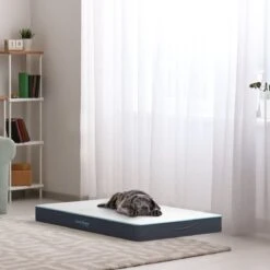 CozySense® - Orthopedisch Hondenkussen - Hondenkussen 90 X 55 Cm - Ook Geschikt Als Benchkussen & Hondenbed - Hondenkussen Bank - Traagschuim - Waterdicht - Wasbare Hoes - Maat L 13 CozySense® - Orthopedisch Hondenkussen - Hondenkussen 90 X 55 Cm - Ook Geschikt Als Benchkussen & Hondenbed - Hondenkussen Bank - Traagschuim - Waterdicht - Wasbare Hoes - Maat L -PetSafe Huisdieren Verkoopwinkel 1200x1200 335