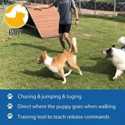 CF Pack - Hond Buitenspeelgoed Actief Behendigheid Touw Dog Flirt Pole Flirtpole Toy Tug Tease Wand Non-Bungee Cord Dog Toy For Fun Obedience Training Extandable Toy Honden Speelgoed Hondenspeelgoed Behendigheidspeelgoed -PetSafe Huisdieren Verkoopwinkel 1200x1200 344