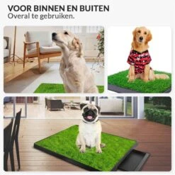 Merkloos Hondentoilet Kunstgras Met Bak - Indoor Dierentoilet - Uitneembare Opvangbak - Puppy Training Pets - Outdoor/Balkon/Tuin/Indoor Toilet - 50x64 Cm 15 Merkloos Hondentoilet Kunstgras Met Bak - Indoor Dierentoilet - Uitneembare Opvangbak - Puppy Training Pets - Outdoor/Balkon/Tuin/Indoor Toilet - 50x64 Cm -PetSafe Huisdieren Verkoopwinkel 1200x1200 350