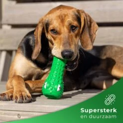 Tandenborstel Hond Melk Geur Smaak En Piep Honden Speelgoed Dog Toy - Krokodil Groen - Dutchwide -PetSafe Huisdieren Verkoopwinkel 1200x1200 355