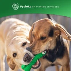 Tandenborstel Hond Melk Geur Smaak En Piep Honden Speelgoed Dog Toy - Krokodil Groen - Dutchwide -PetSafe Huisdieren Verkoopwinkel 1200x1200 356