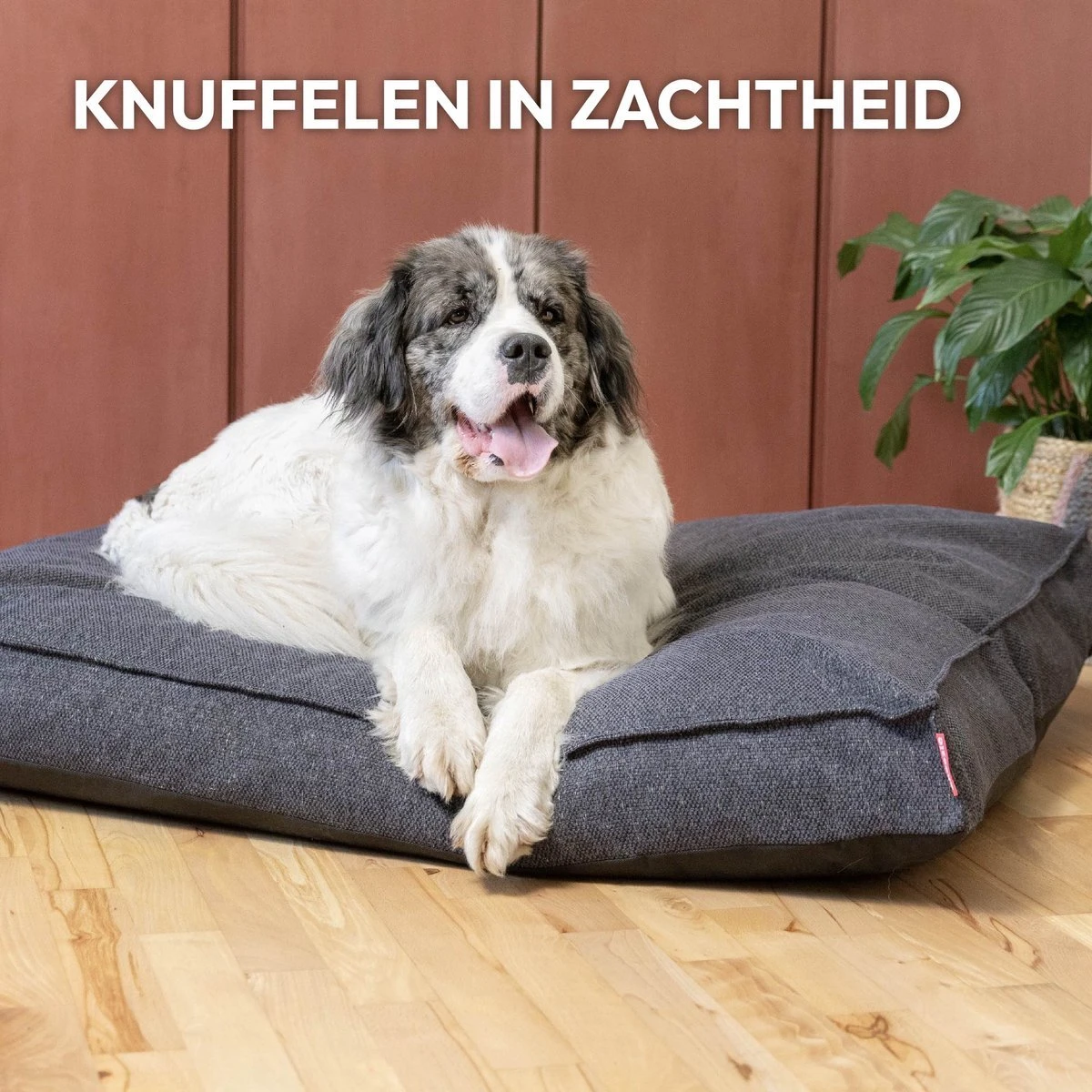 Snoozle Orthopedische Hondenmand - Zacht En Luxe Hondenkussen - Hondenbed - Wasbaar - Hondenmanden - 100 X 70 Cm - Groen 6 Snoozle Orthopedische Hondenmand - Zacht En Luxe Hondenkussen - Hondenbed - Wasbaar - Hondenmanden - 100 X 70 Cm - Groen - Afbeelding 6