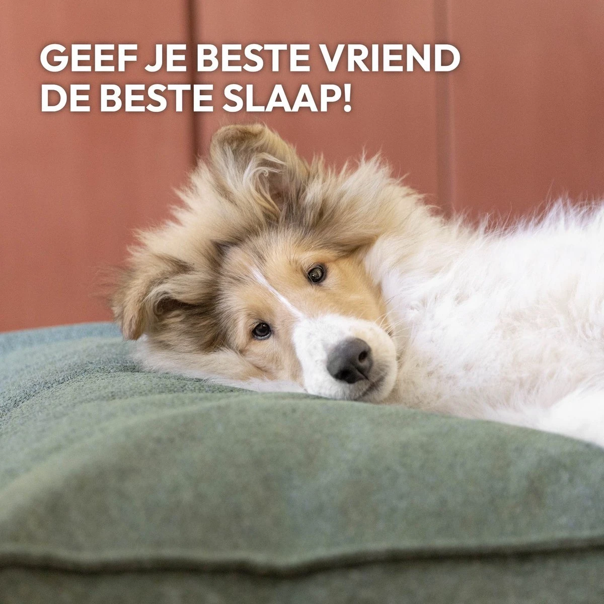 Snoozle Orthopedische Hondenmand - Zacht En Luxe Hondenkussen - Hondenbed - Wasbaar - Hondenmanden - 100 X 70 Cm - Groen 7 Snoozle Orthopedische Hondenmand - Zacht En Luxe Hondenkussen - Hondenbed - Wasbaar - Hondenmanden - 100 X 70 Cm - Groen - Afbeelding 7