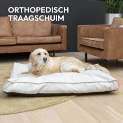 Snoozle Orthopedische Hondenmand - Zacht En Luxe Hondenkussen - Hondenbed - Wasbaar - Hondenmanden - 100 X 70 Cm - Groen 20 Snoozle Orthopedische Hondenmand - Zacht En Luxe Hondenkussen - Hondenbed - Wasbaar - Hondenmanden - 100 X 70 Cm - Groen -PetSafe Huisdieren Verkoopwinkel 1200x1200 372