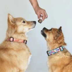 Topdiervoeding Runderlong Hondensnacks - Vers Gedroogd - Knapperig - 1 KG -PetSafe Huisdieren Verkoopwinkel 1200x1200 410