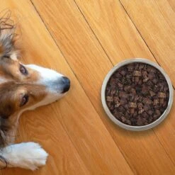 Topdiervoeding Runderlong Hondensnacks - Vers Gedroogd - Knapperig - 1 KG -PetSafe Huisdieren Verkoopwinkel 1200x1200 411