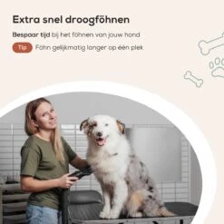 MiMOPETS® Hondenföhn Met 4 Opzetstukken – Waterblazer Voor Honden Met Geluiddemper -Hondendroger - Zwart 15 MiMOPETS® Hondenföhn Met 4 Opzetstukken – Waterblazer Voor Honden Met Geluiddemper -Hondendroger - Zwart -PetSafe Huisdieren Verkoopwinkel 1200x1200 426