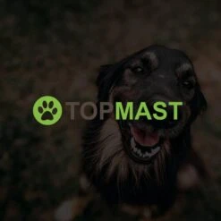 Merkloos Topmast Premium Puppyren - 120 Cm Hoog - 640 Cm Omtrek - Hondenren - Hondenhok - Zwart -PetSafe Huisdieren Verkoopwinkel 1200x1200 427