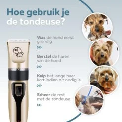 BYER Professionele Dieren Tondeuse Set - Voor Huisdieren Katten & Honden - Draadloos - Oplaadbare Pet Trimmer - Dog Tondeuze Clipper - 5 Standen & Vier Opzetkammen - Low Noise 15 BYER Professionele Dieren Tondeuse Set - Voor Huisdieren Katten & Honden - Draadloos - Oplaadbare Pet Trimmer - Dog Tondeuze Clipper - 5 Standen & Vier Opzetkammen - Low Noise -PetSafe Huisdieren Verkoopwinkel 1200x1200 431