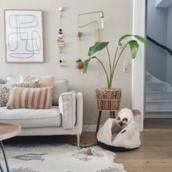 District 70 TUCK - Luxe & Comfortabele Mand Kleine Honden - Terra, Donkergrijs & Zand - 50x50x30 Cm - Zand -PetSafe Huisdieren Verkoopwinkel 1200x1200 433