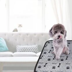 Jooba Puppy Training Pads - Wasbare Puppy Pads 2 Stuks - Hondentoilet - 70x50cm - Puppy -PetSafe Huisdieren Verkoopwinkel 1200x1200 439