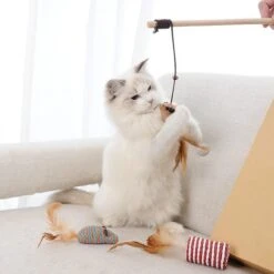 GIZMO Luxe Kattenspeeltjes Set - 7 Speeltjes - Interactieve Kattenhengel, Kattenspeelgoed & Speelmuisjes - Kitten Speeltjes -PetSafe Huisdieren Verkoopwinkel 1200x1200 450