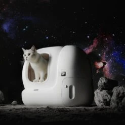 PETKIT® Pura MAX – Automatische Kattenbak – Elektrisch – Kattenbak Zelfreinigend – Bedienen Via De App 13 PETKIT® Pura MAX – Automatische Kattenbak – Elektrisch – Kattenbak Zelfreinigend – Bedienen Via De App -PetSafe Huisdieren Verkoopwinkel 1200x1200 462